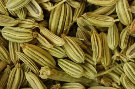 Fennel seeds